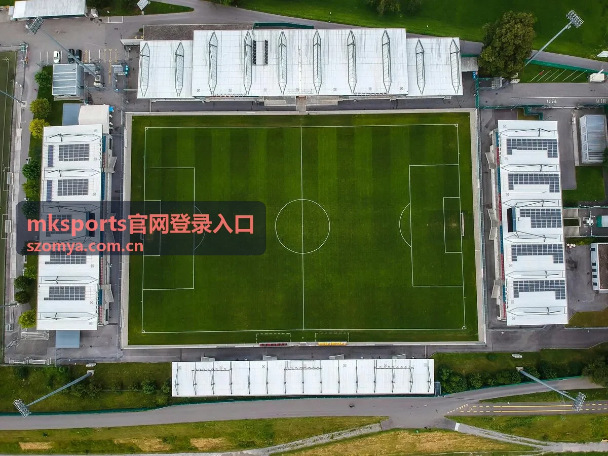 mksports官网登录入口用户操作流程